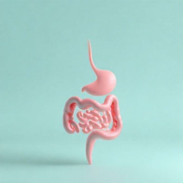 Beyond the Bloat Why Your Gut Feels Off and How to Fix It